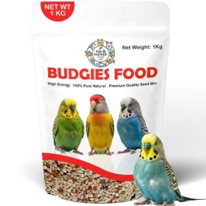 Budgies