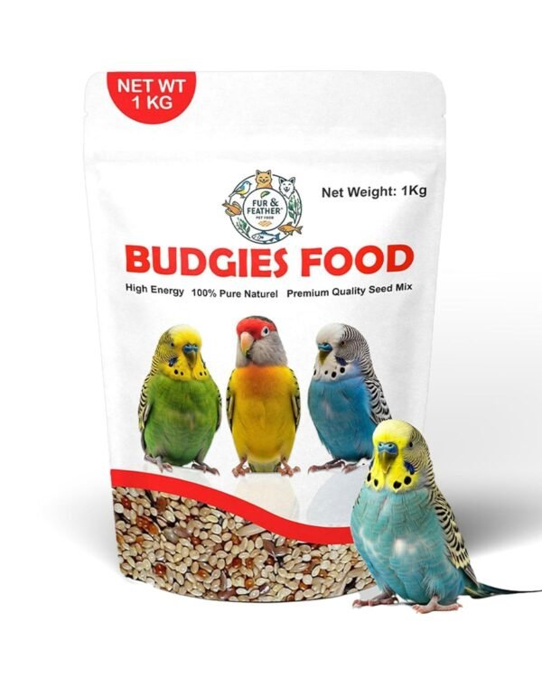 Budgies