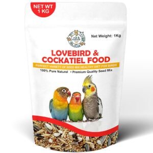 Lovebirds & Cockatiel