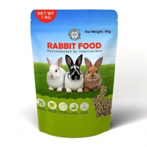 Rabbit