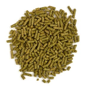 Complete Budgies bird food guide
